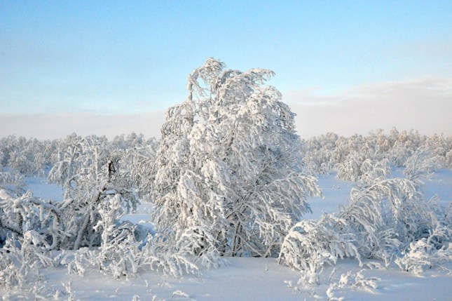 Porsche_911_Nordkap_12pop