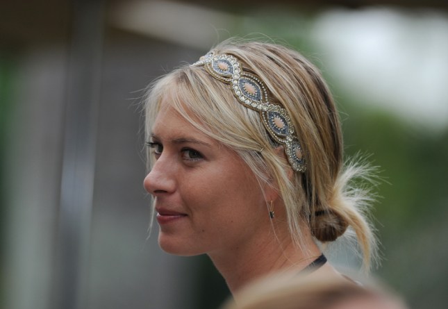 Maria Sharapova to represent Porsche